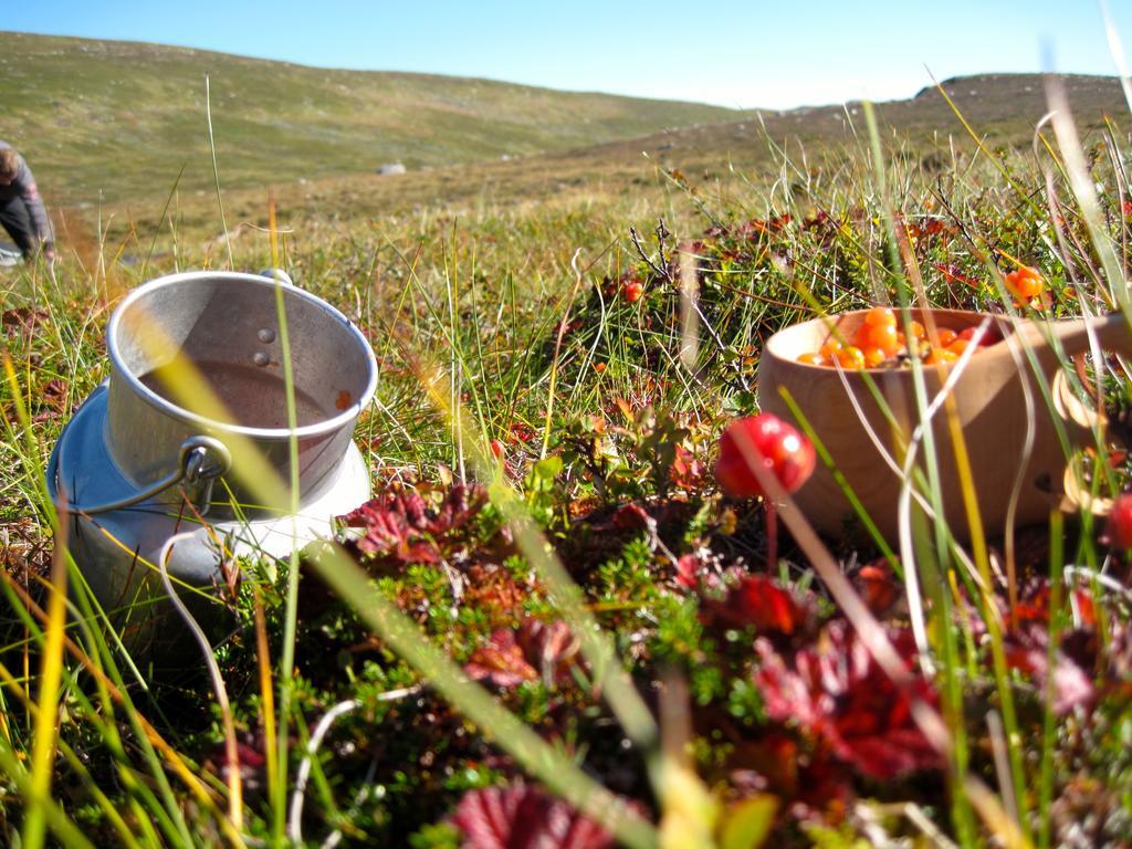 Norefjell - Storhytte Med Jacuzzi Og Fantastisk Beliggenhet Noresund Екстер'єр фото